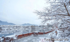 郊区室第重生活体